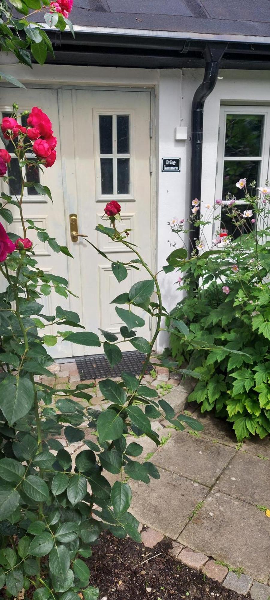 Bjerred B&B Bjärred Eksteriør billede