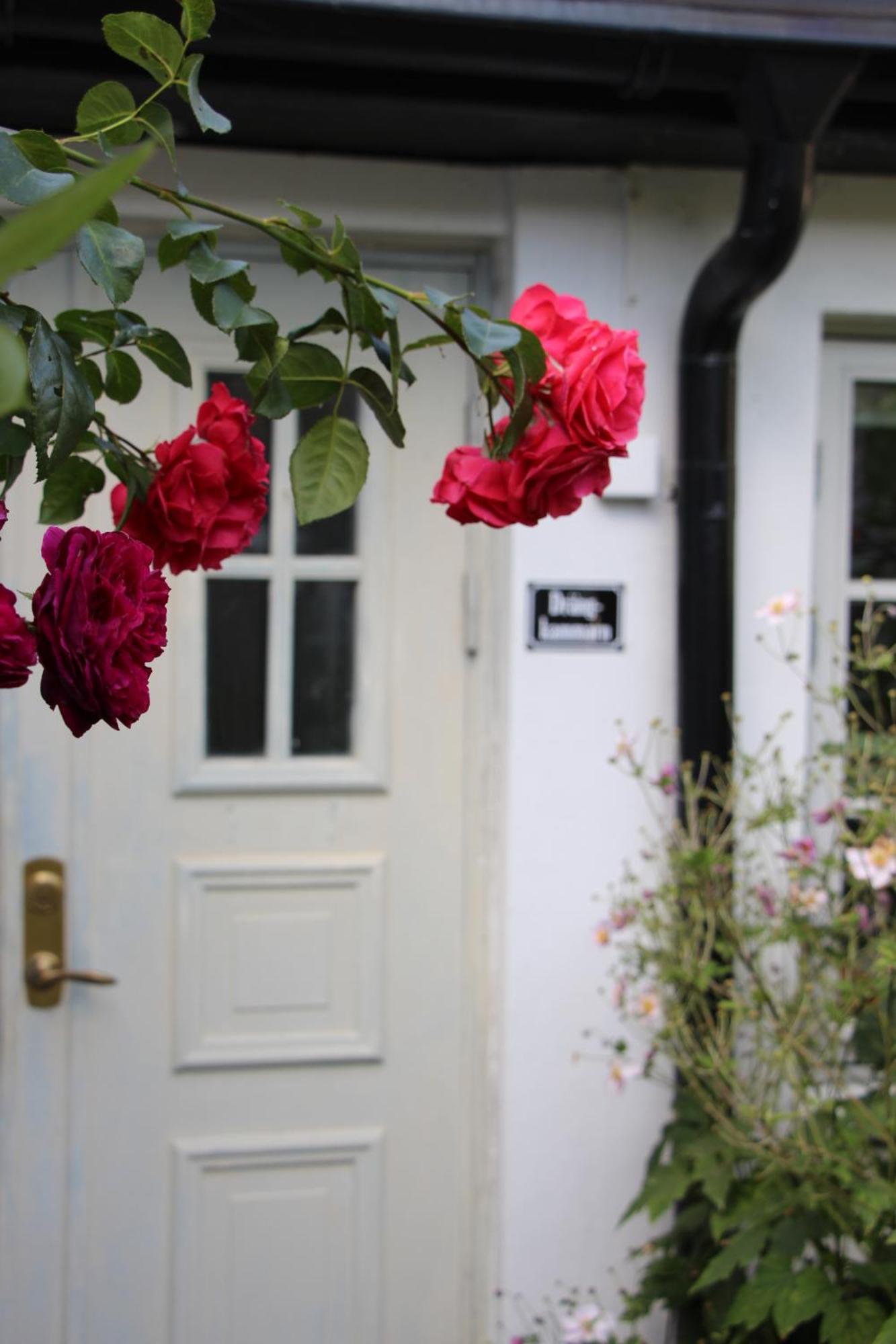Bjerred B&B Bjärred Eksteriør billede