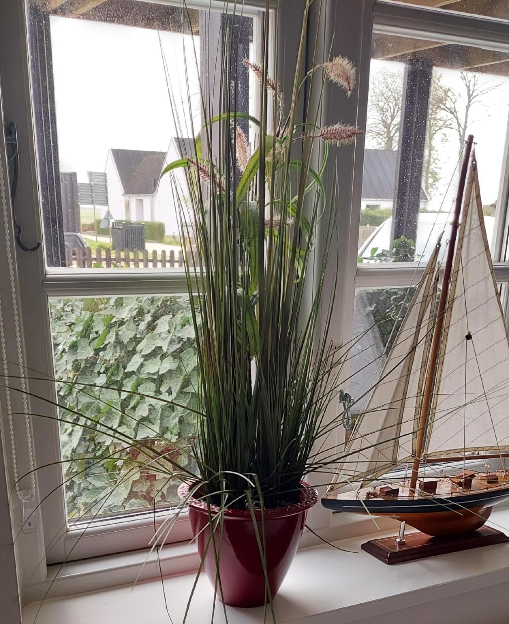 Bjerred B&B Bjärred Eksteriør billede