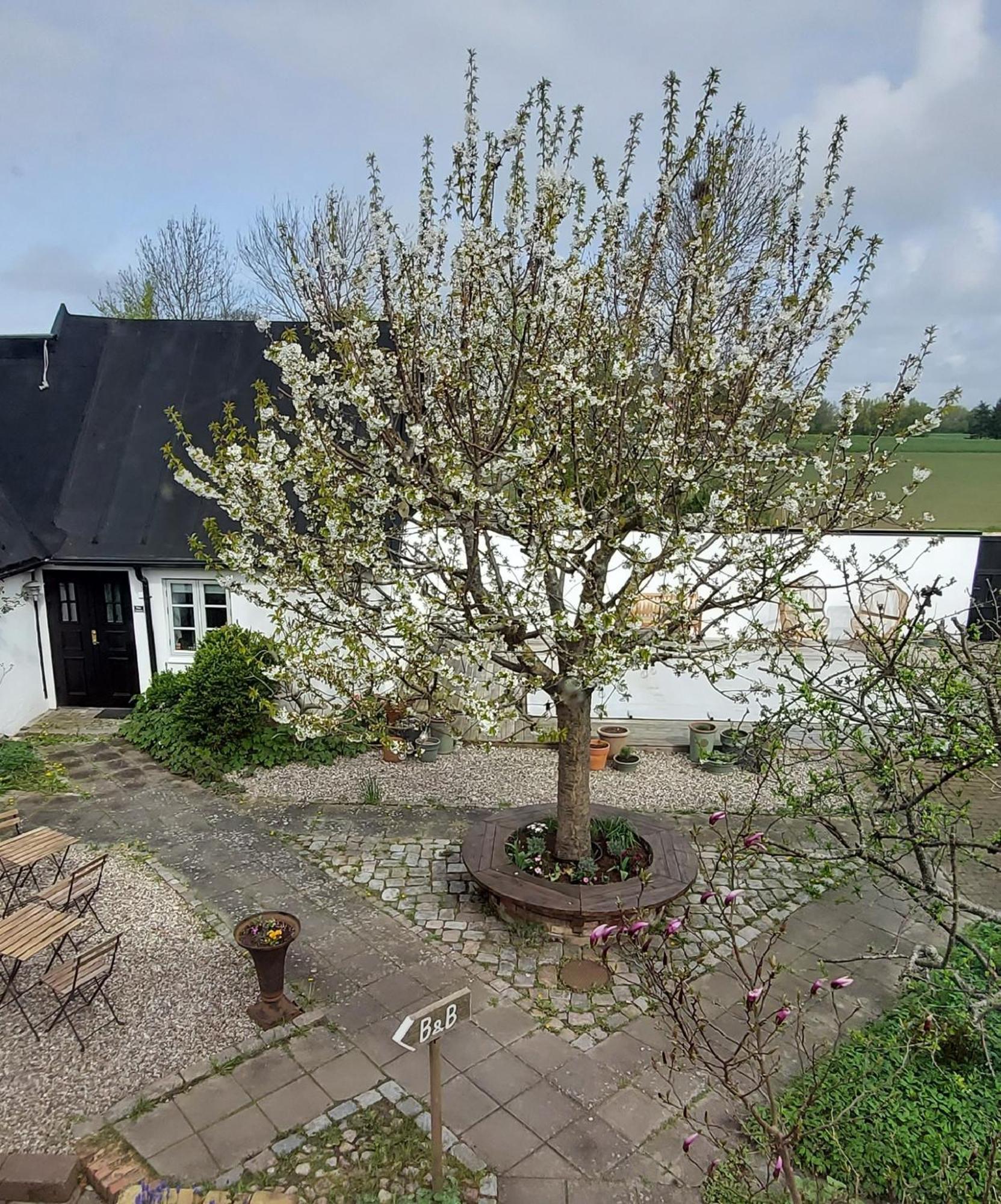 Bjerred B&B Bjärred Eksteriør billede